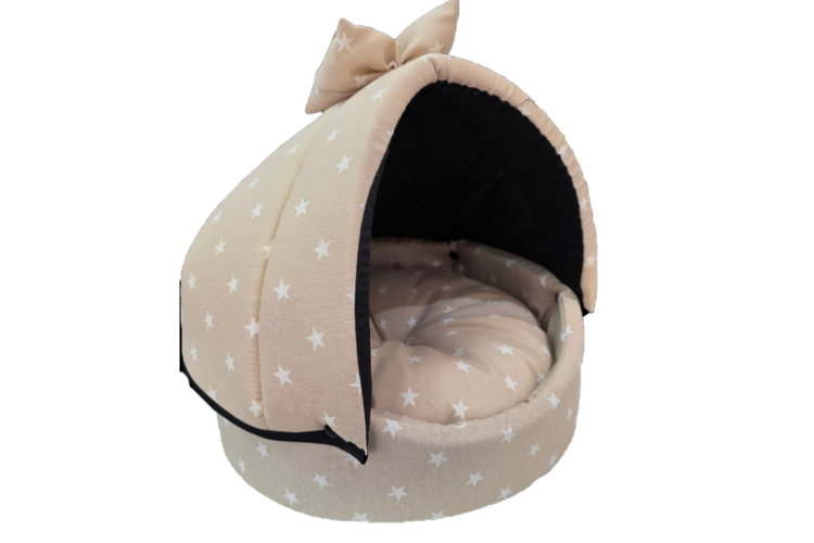 MOISES CAPOTA CLOE N°40 (JUAN)