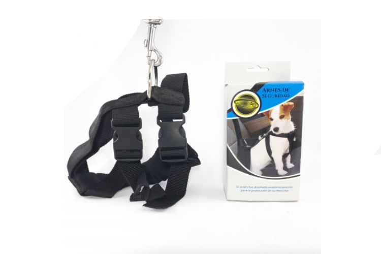 ARNES DE SEGURIDAD L (JUAN)