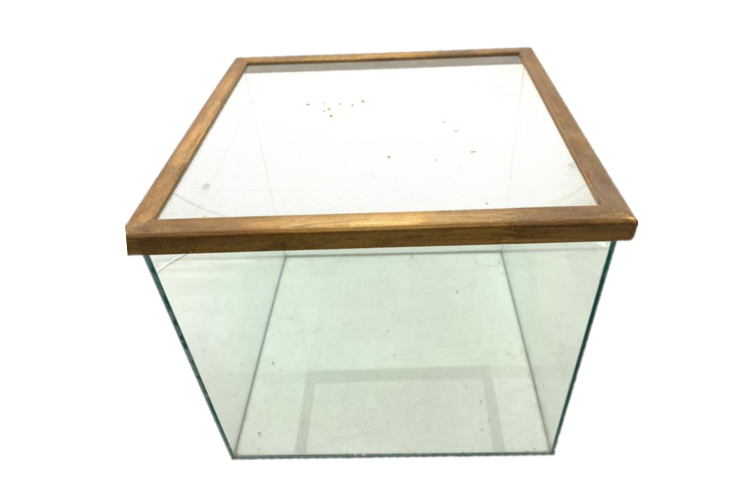 HAMSTERA MADERA CUBO 35X30X35