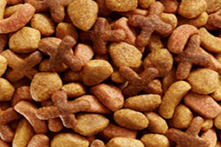 CAT CHOW ADULTO 500GR(P)(FRACC)