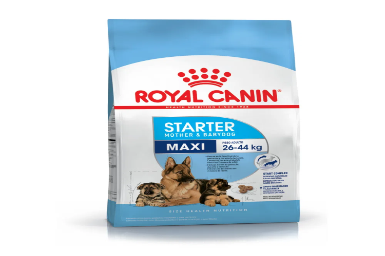 ROYAL CANIN STARTER MAXI X 10 KG