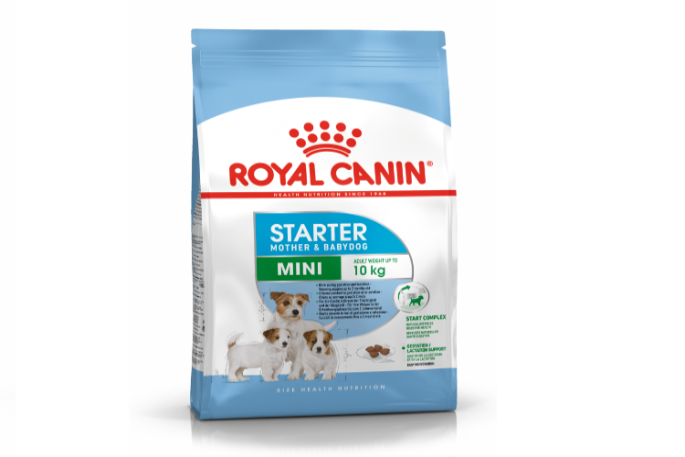 ROYAL CANIN STARTER MINI 1 KG