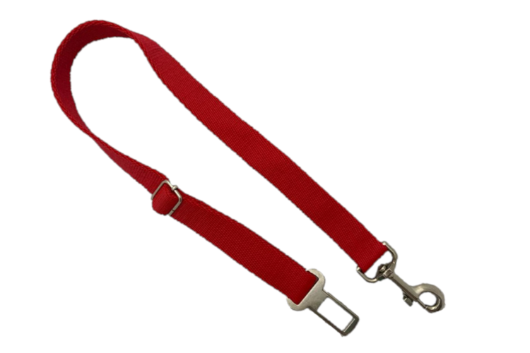 CORREA SEGURIDAD 2CM (CR)