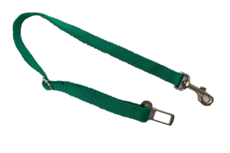 CORREA SEGURIDAD 2,5CM (CR)