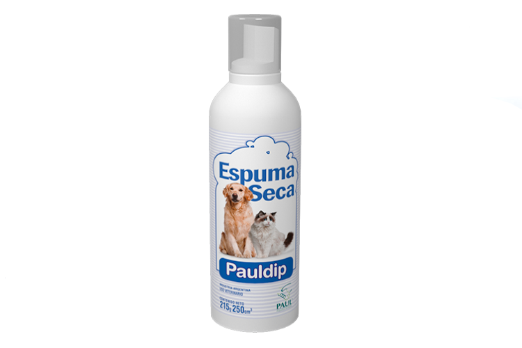 ESPUMA SECA PAULDIP (PAUL)