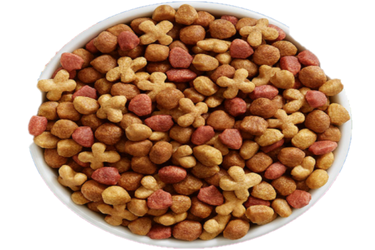 CAT CHOW GATITOS 500GR(FRACC)