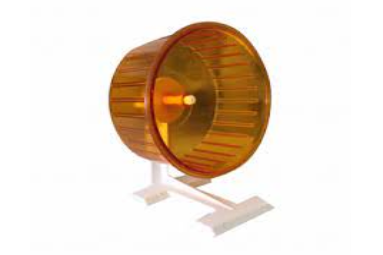 RUEDA HAMSTER PLASTICA N°1 ELPE ART.225 (L.SUR)