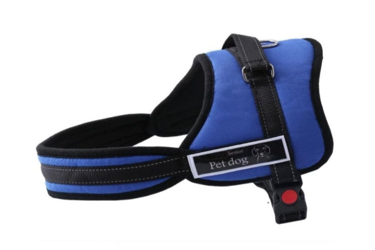 ARNES ACOLCHADO IMPORTADO (XL)