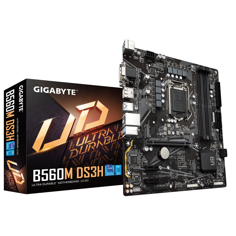 Mother B560m Ds3h Gigabyte 11gen
